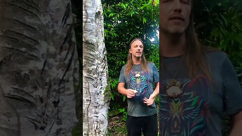 Medicinal Plants of the Amazon Shorts Series