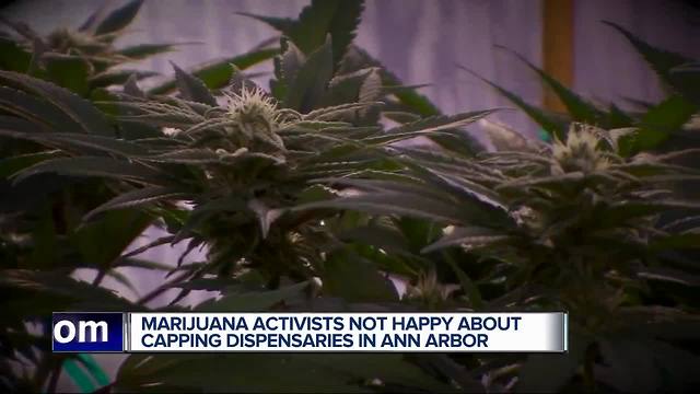 Ann Arbor could get 'higher' numbers of medical marijuana dispensaries