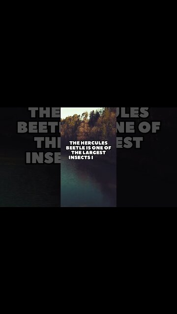 Incredible Random Facts That Will Expand Your Mind! [2023] #shorts #facts #viralshorts #fyp #life