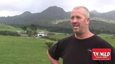 Cows & Endangered Birds Poisoned in Taranaki Aerial Drop