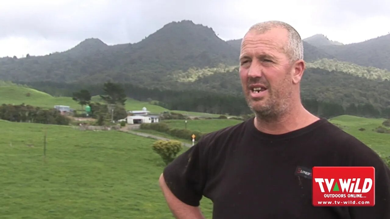 Cows & Endangered Birds Poisoned in Taranaki Aerial Drop