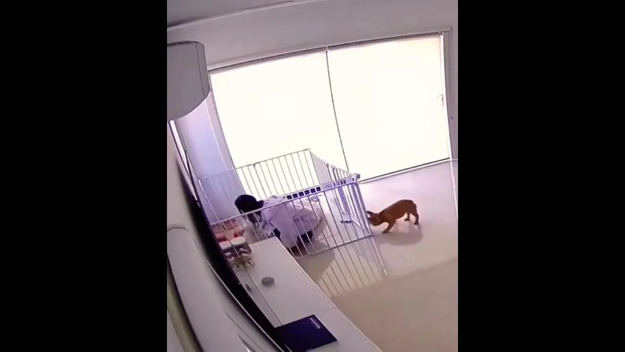 Oh how the tables have turned Linda…have fun getting out now! 😏😂🐶 #shorts #shortsfeed #clips