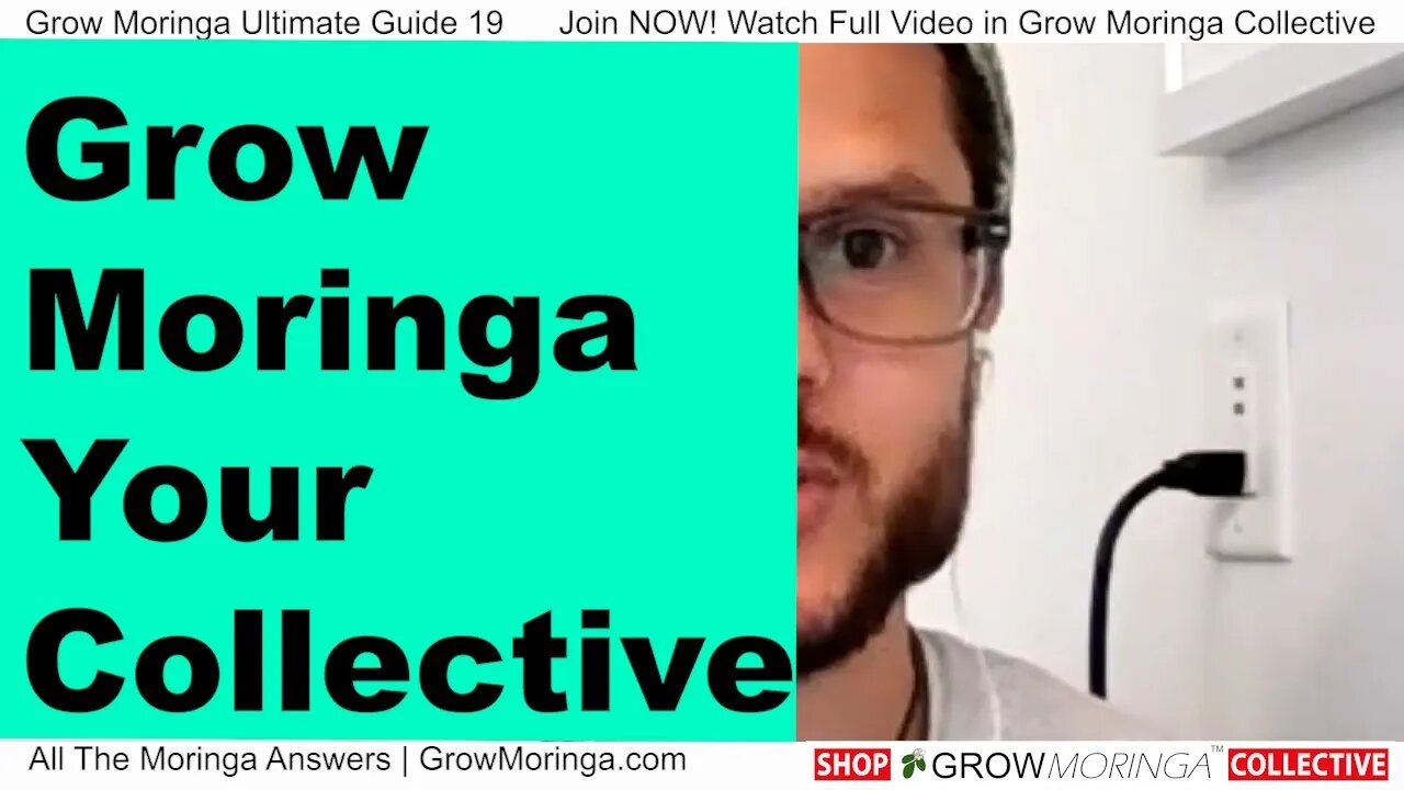 'Grow Moringa' is Your #1 Collective that Loves Giving Back to Community Building Space & Abundance