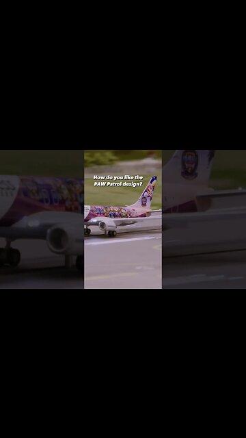 Aircraft miniature l paw patrol design