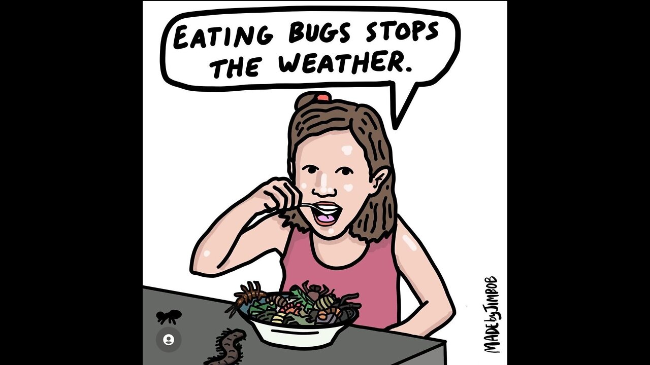 #Vegans, #Protests, #Activism, and #Emotions