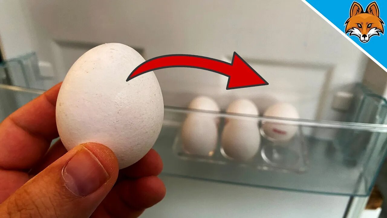 Here's why you should NEVER Store Eggs in the Refrigerator Door 💥 (Did you know?) 🤯