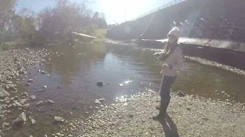 Redhead at the Spillway