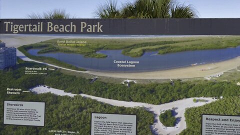 Tigertail Beach Walk- Marco Island, FL #4K #Beachwalk #DolbyVision