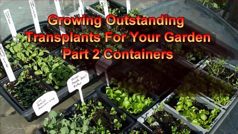 Growing Outstanding Transplants Part 2