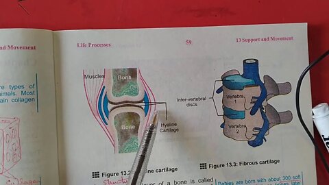 Biology 10th Lecture 2