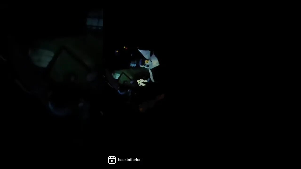 Disneyland The Haunted Mansion 2021