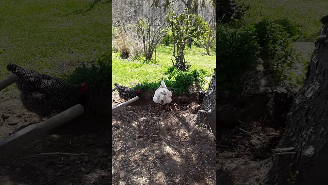 Had to take a break.