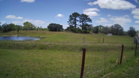Afternoon on the ranch.