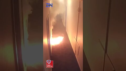 Backpackers Narrowly Escape E-Bike Battery Explosion in Sydney Hostel! #news #zofkannews #worldnews