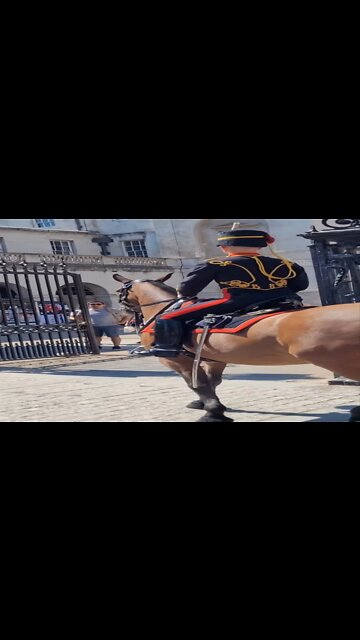 Unexpected protest horse Guards parade #horseguardsparade