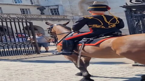 Unexpected protest horse Guards parade #horseguardsparade