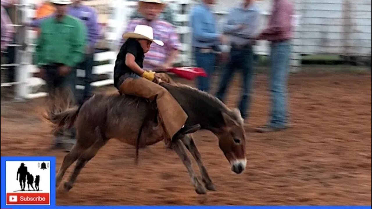 "Donkey ride by childs" saints roost ranch rodeo