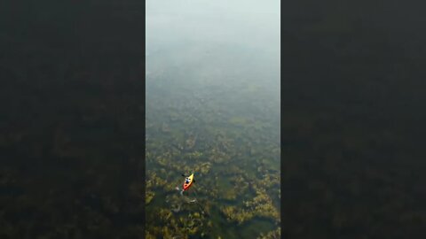 Kayaking through a river