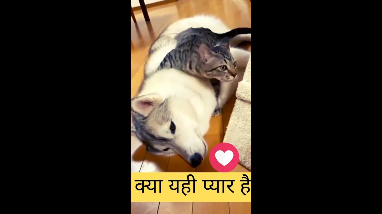 क्या यही प्यार है❤️Is this what you call love👈