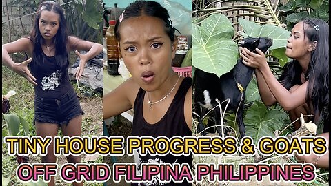 🇵🇭 2 Filipina Barbie's Tiny House Shack Collection Becoming Real House! OFF GRID LIVING PHILIPPINES