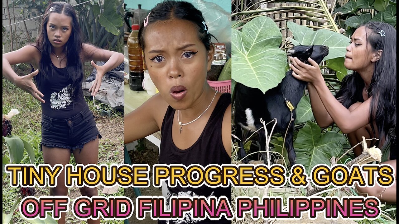 🇵🇭 2 Filipina Barbie's Tiny House Shack Collection Becoming Real House! OFF GRID LIVING PHILIPPINES