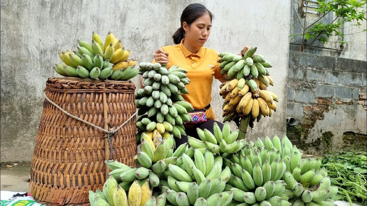 Simple Life - Living in the Province | Harvesting Banana