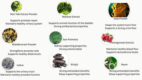 Prostadine: A Unique Solution for Prostate Health and Well-Being