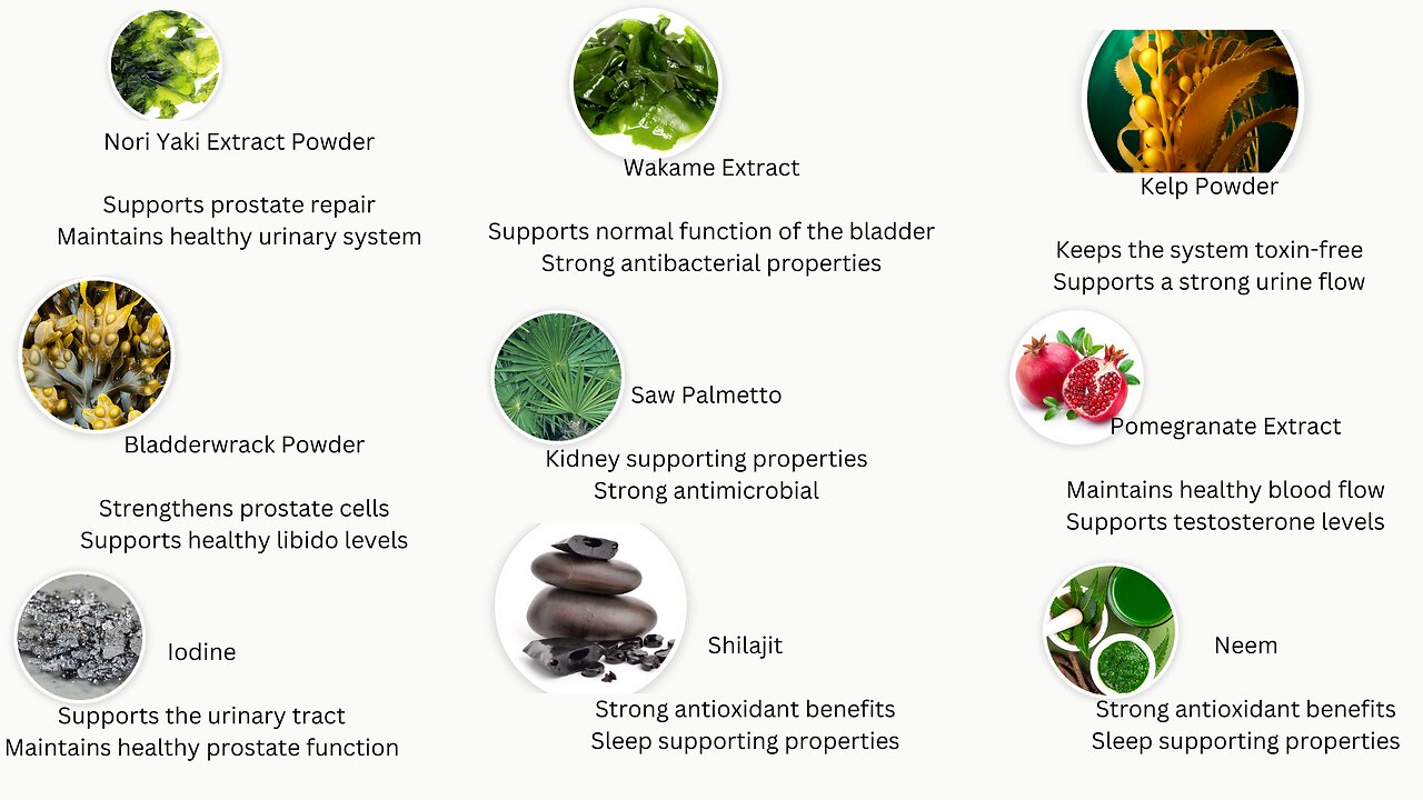 Prostadine: A Unique Solution for Prostate Health and Well-Being