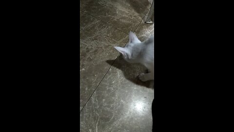 friend 2