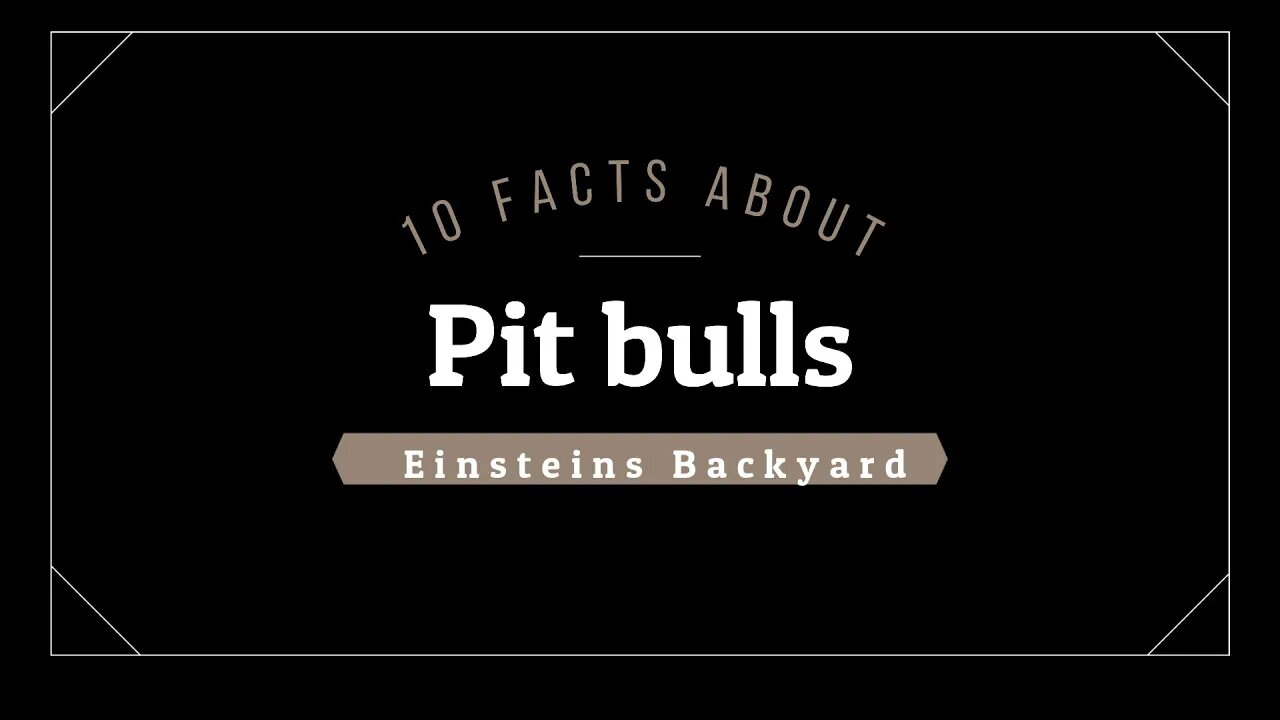 Einsteins Backyard Ep 10 - 10 Facts about Pit bulls