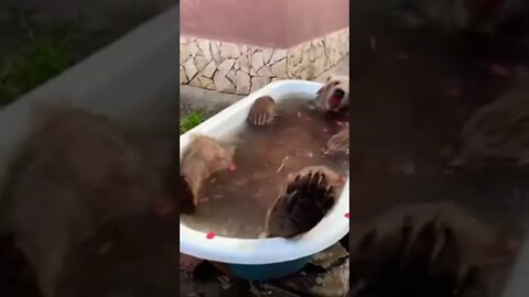 U good there 😎get this viral | #shorts | #viral | #funny | #subscribe