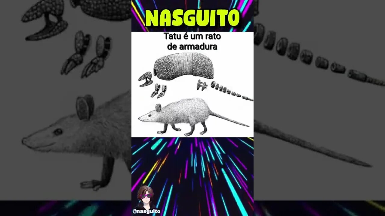 Memes em imagens - COISA DE GAÚCHO #shorts