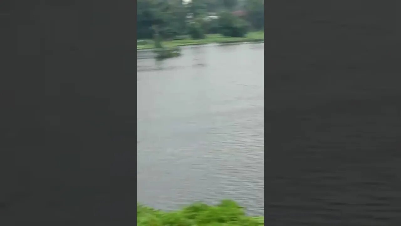 beautiful Bangladesh....... সুন্দর একটা গ্রাম