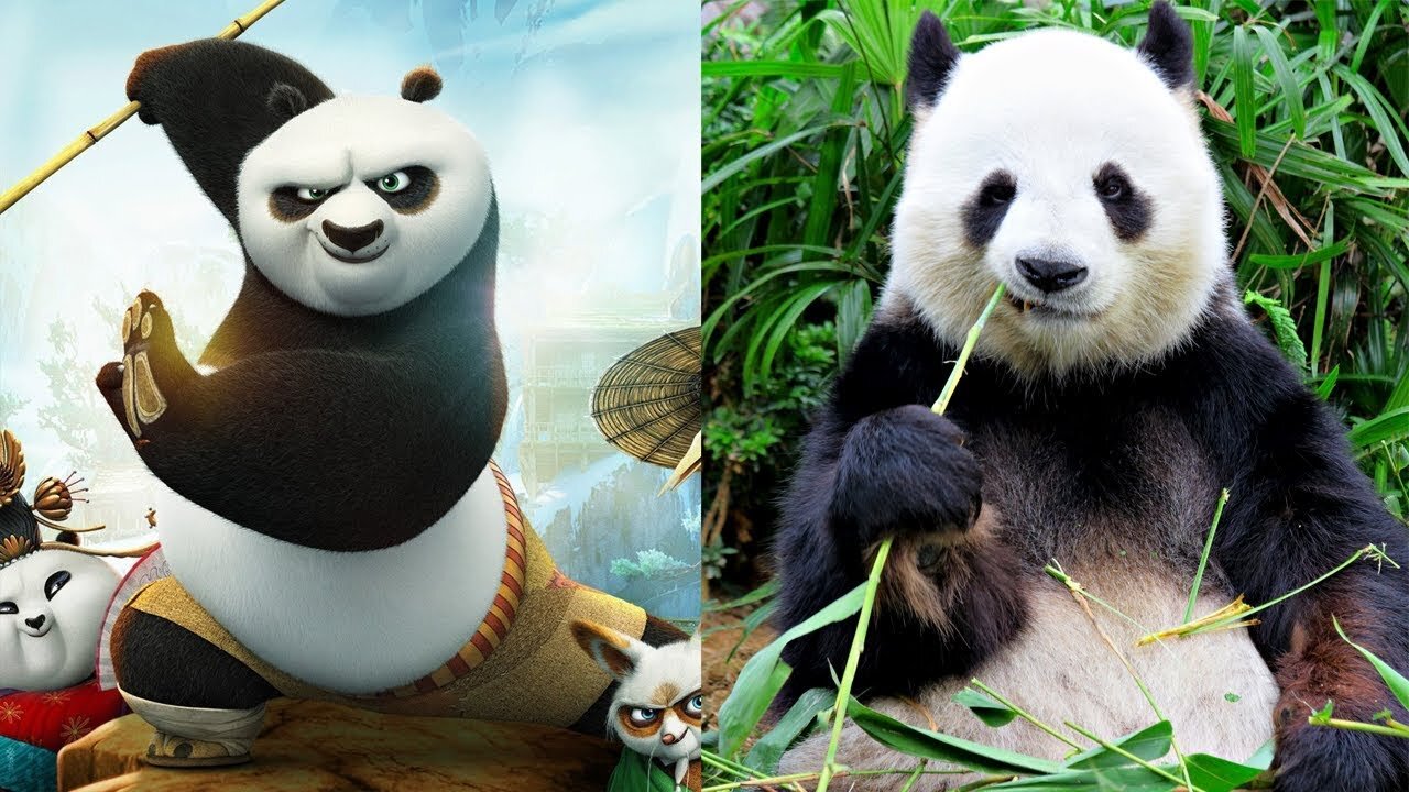 Kung Fu Panda 3 Characters In Real Life