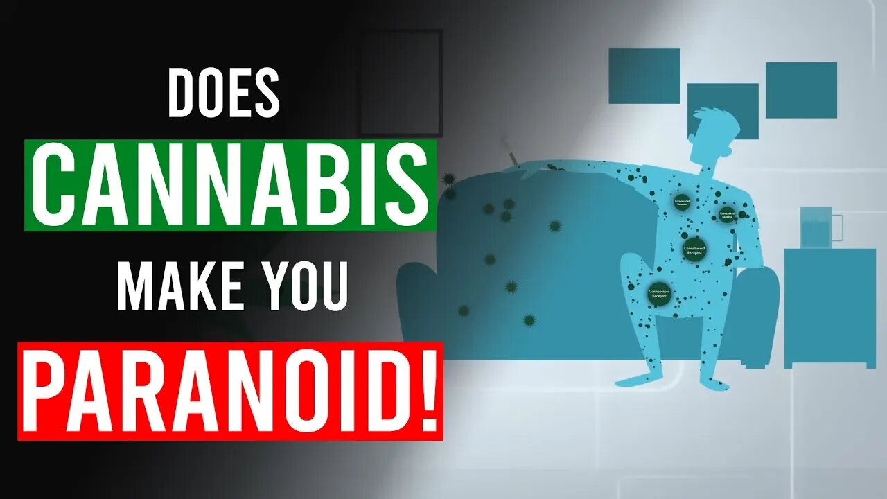 Does CANNABIS make you PARANOID?