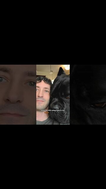 Going JOHN WICK for my dog #canecorso #shorts #funnydogs