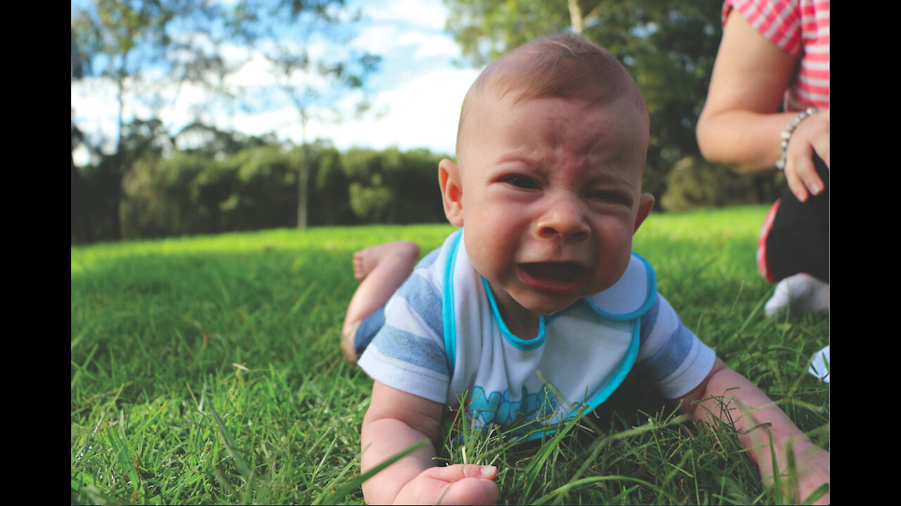 Parents playing with babies and babies crying