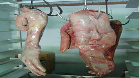 So if you set up a booth cooking and giving free samples of HUMAN MEAT would anyone try it？