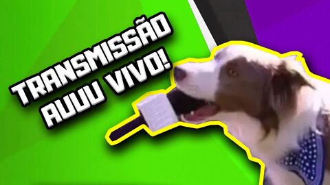 Aula de Alimentação Natural para Cães | Dr. Edgard Gomes | Alimentação natural para Cães