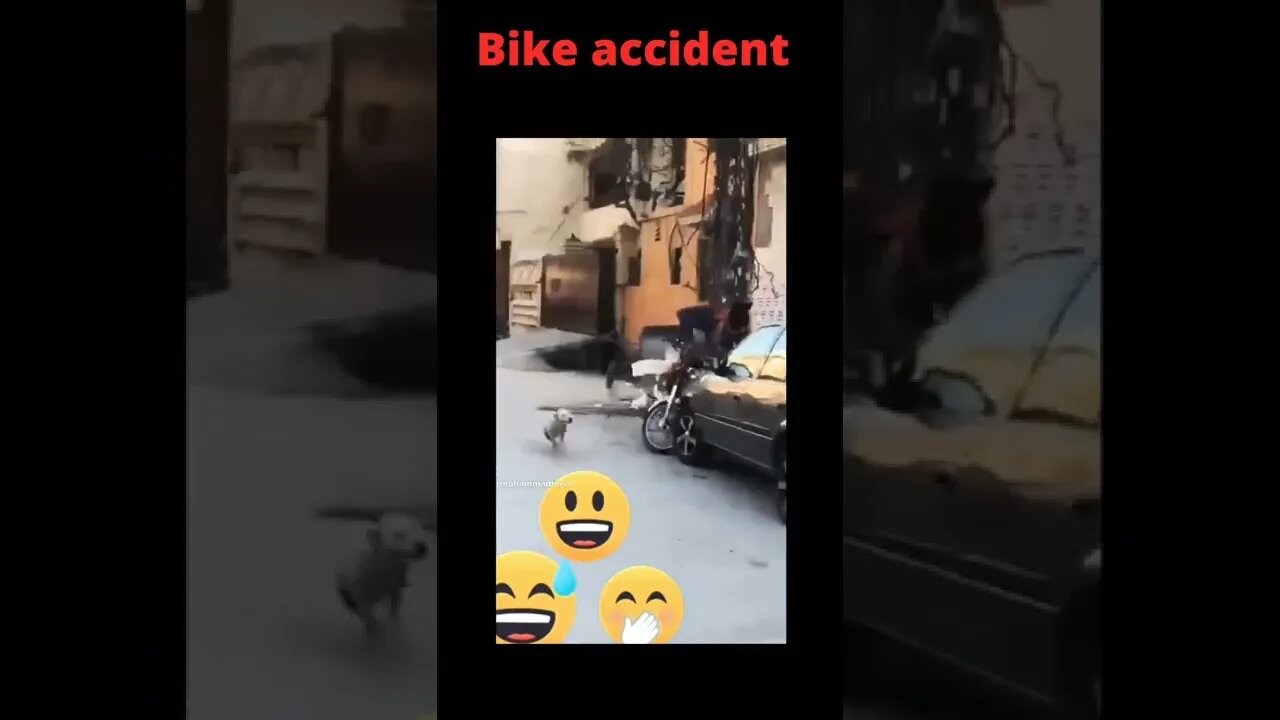 Dog can do any thing😲