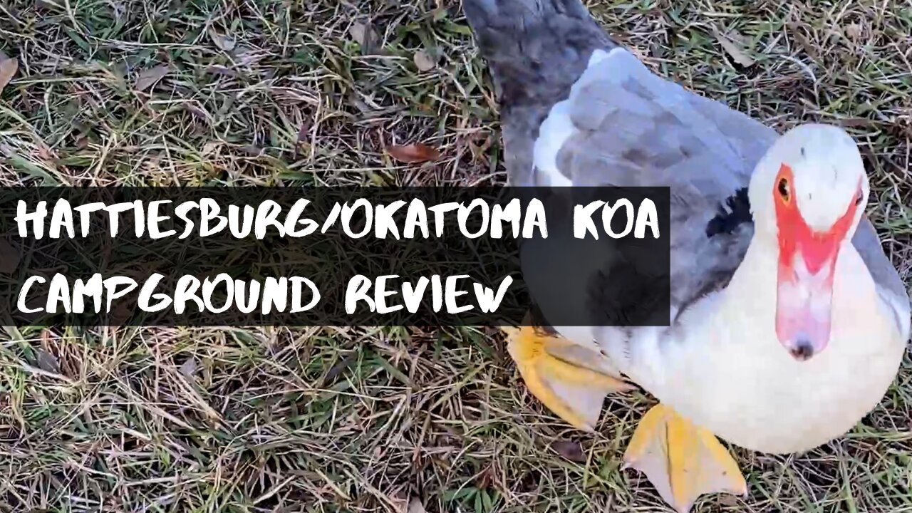 Hattiesburg/Okatoma River KOA - Mississippi Campground Review