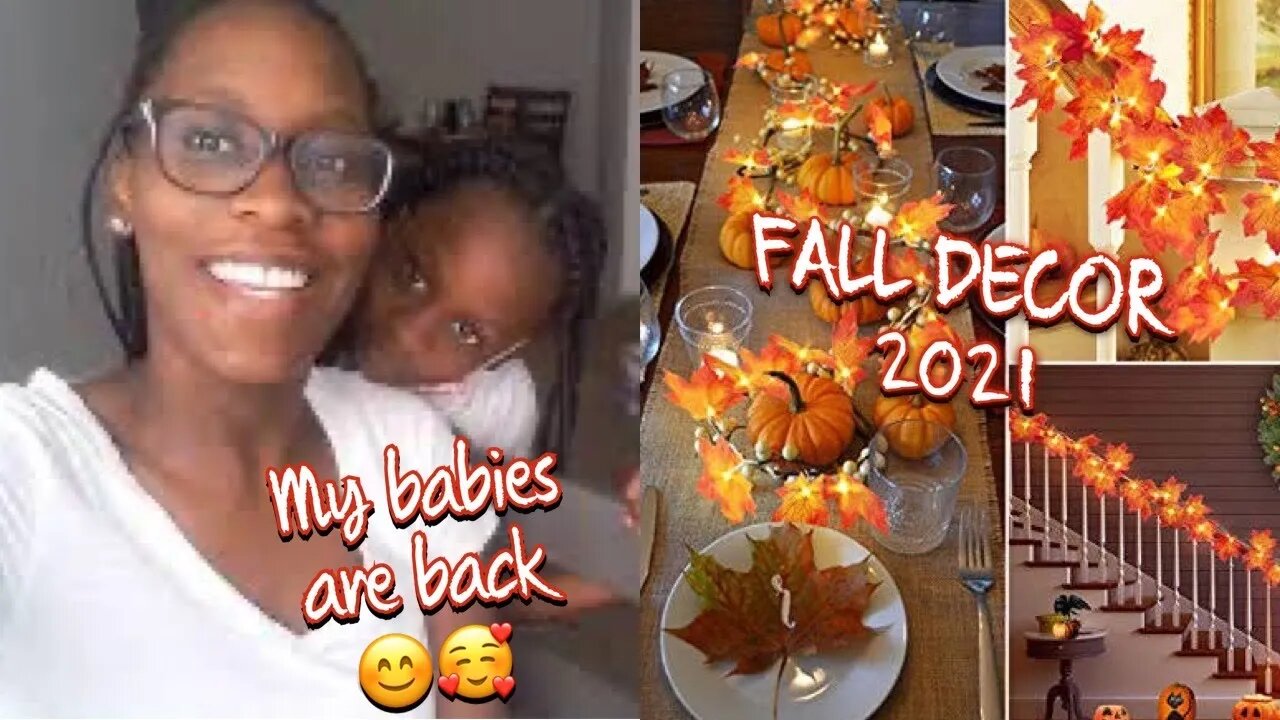 DAY IN MY LIFE VLOG: My Babies are finally here | Fall Dining Room Makeover