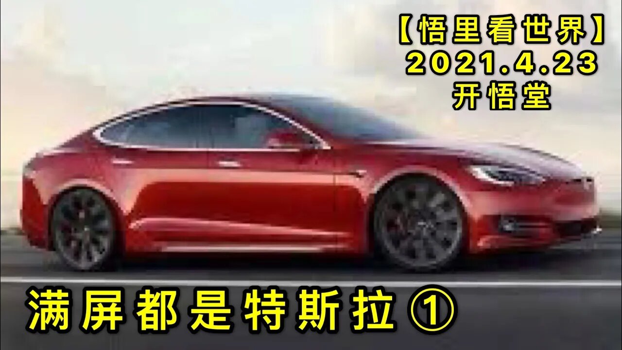 KWT1558(1) 满屏都是特斯拉20210423-5【悟里看世界】