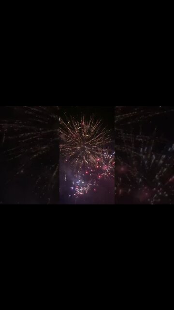 Happy 4th of July! #shorts #shortsfeed #fireworks