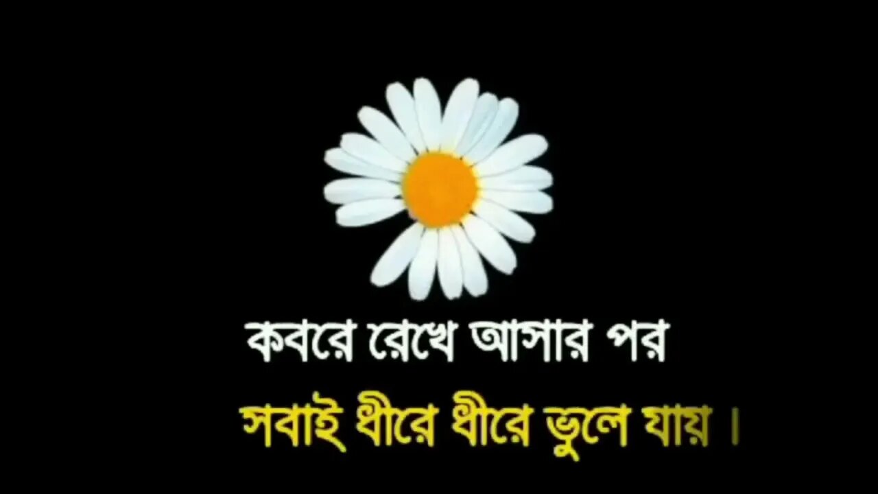 মনে রাখে ততক্ষণ,যতক্ষণ প্রয়োজন || Remember as long as needed#Maryam Multimedia