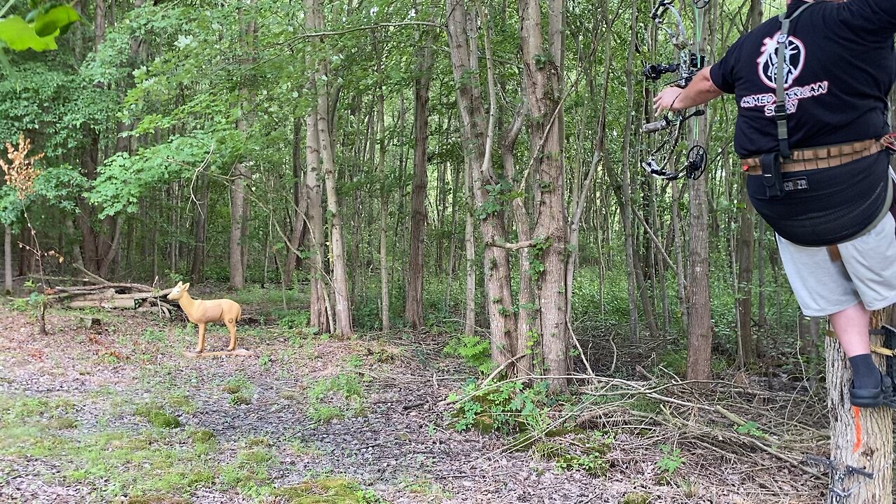 Some Saddle peactice