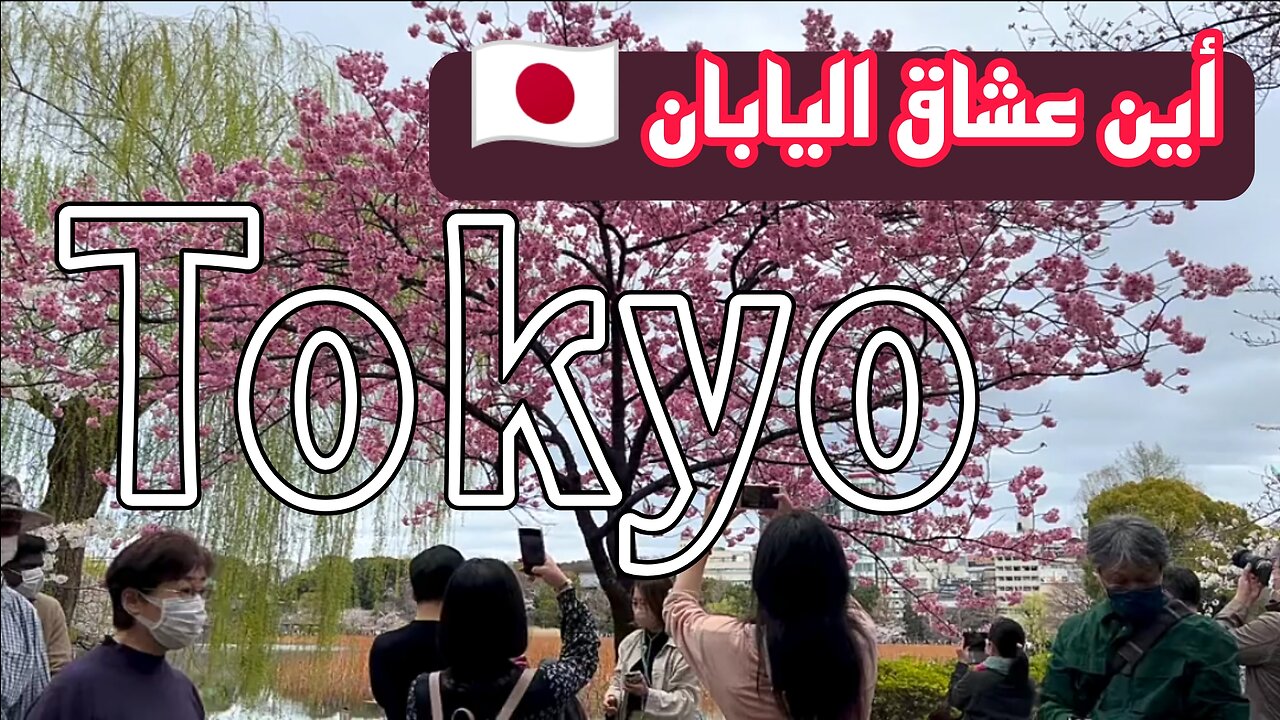 Japan | See the most beautiful places in Japan | Tokyo |日本