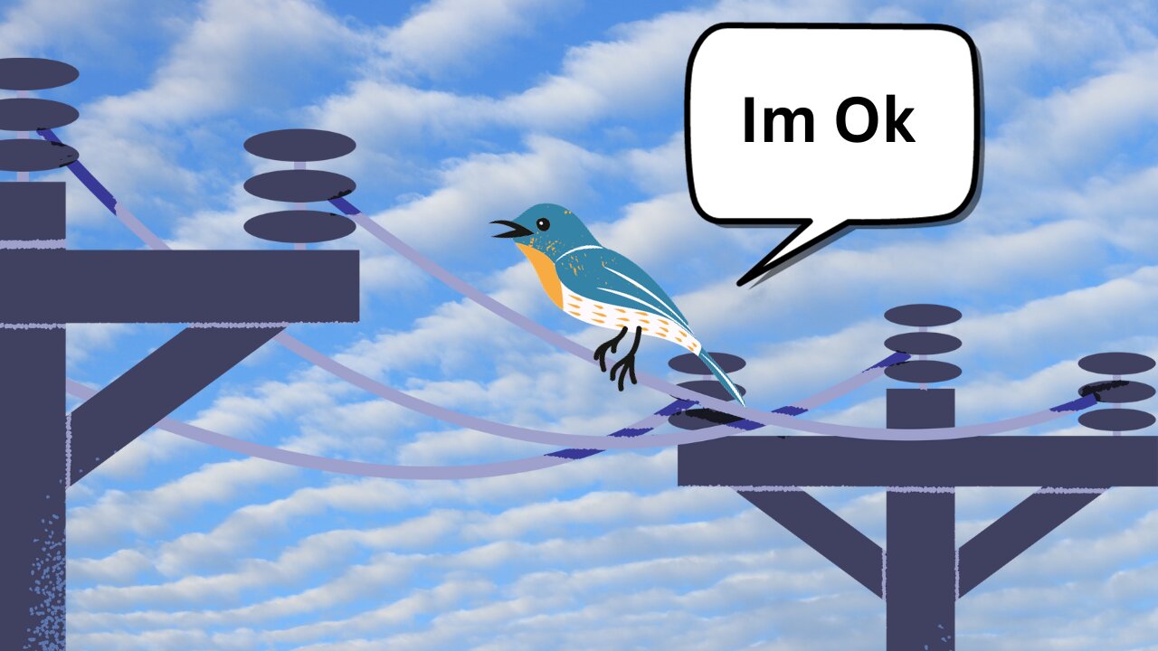 Why Don't Birds Fry On Power Lines