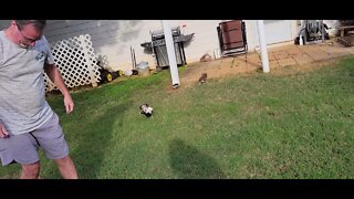 O Litter - Day 2 Outside