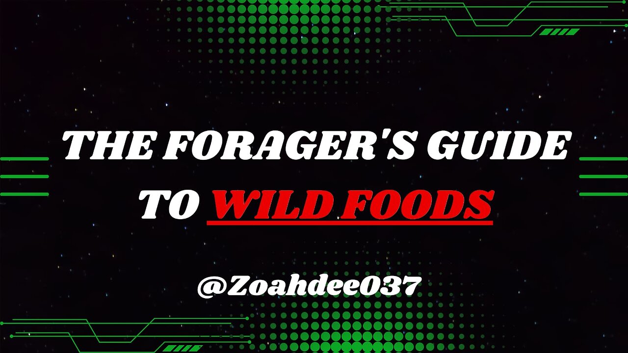 The foragers guide to wildfoods